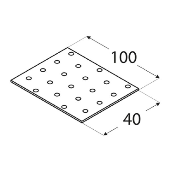 Placa Perforata 100x40x2 b
